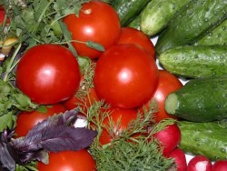 Как снизить нитраты при выращивании ранних овощей