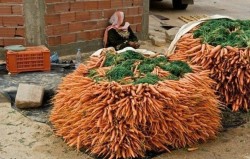 Что сажать после моркови
